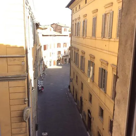 Saracini